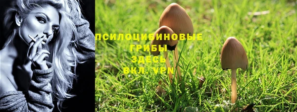 бошки Алзамай
