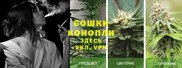 бошки Алзамай