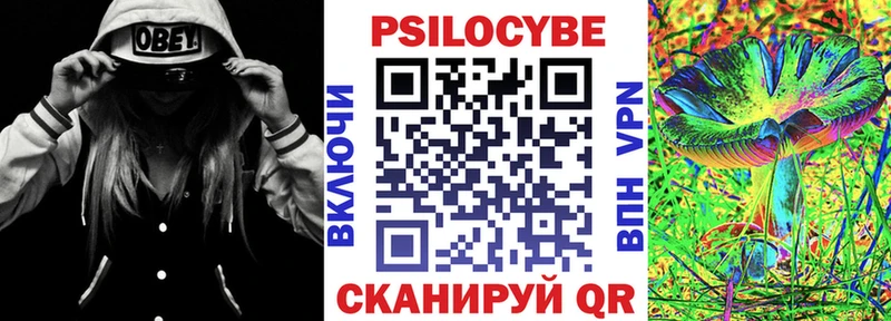 Галлюциногенные грибы MAGIC MUSHROOMS  цены   гидра как зайти  Куса 