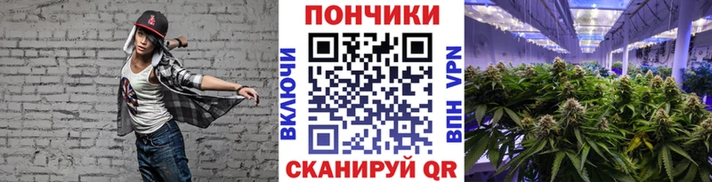Шишки марихуана SATIVA & INDICA  где можно купить наркотик  Куса 